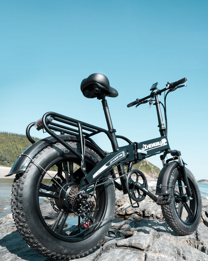 20" x 4.0" All Terrain Fat Tire Electric bike with Samsung 48V 12.8Ah Lithium Battery, in person
